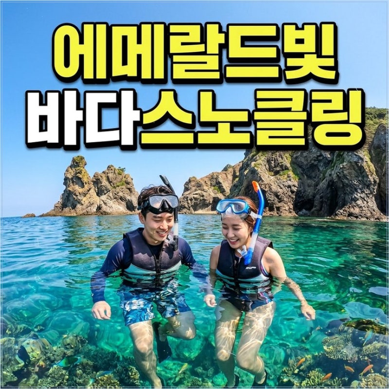 삼척 여행 장호항 스노클링 가볼만한곳 구명조끼 필수 규정 제대로 알아두세요