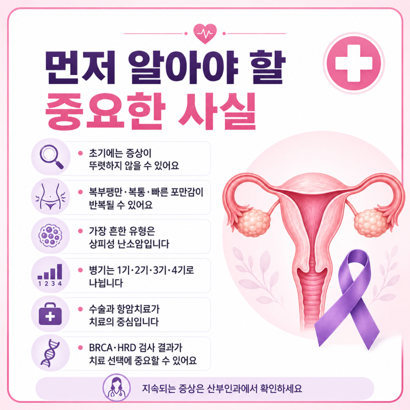 난소암이란? 초기 증상부터 1기·2기·3기·4기 분석, 원인, 생존율, 치료 등 총정리