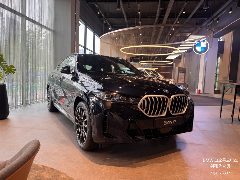 BMW X6 40i M 스포츠 카본블랙 실물 리뷰 및 정확한 가격 옵션 총정리