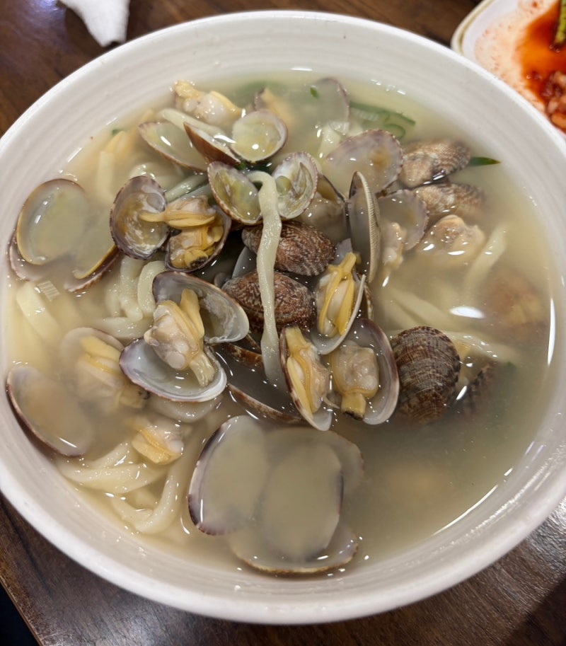 포항 이동 칼국수 맛집 청마루 바지락칼국수 들깨칼국수 콩국수 현지인 추천 칼국수
