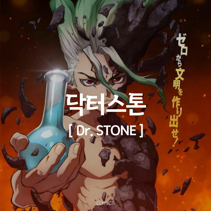 [애니/닥터스톤(Dr.STONE)] re:석기시대부터 시작하는 과학세계 l 완결리뷰