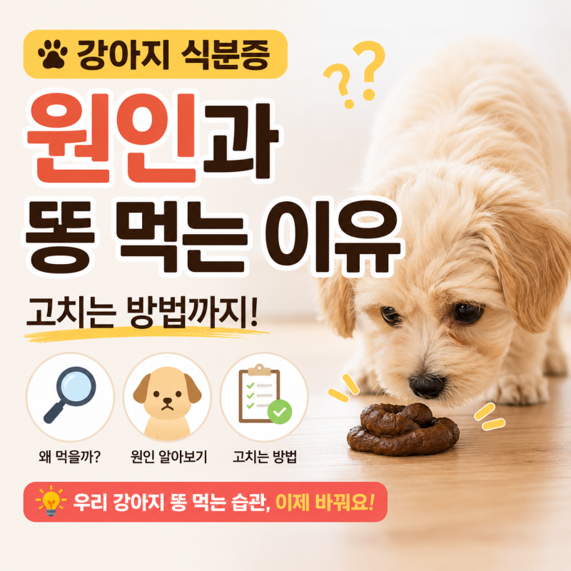 강아지 식분증 원인 똥 먹는 이유와 고치는법