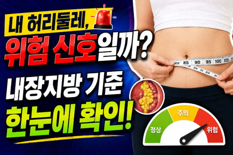 내장지방 기준 수치 완벽 정리 (2026년 최신) | 허리둘레·체지방률 기준부터 빼는 방법까지