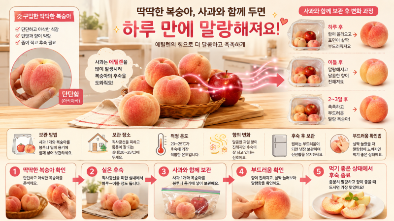 딱딱 복숭아 말랑해지려면? 사과와 같이 두는 후숙 방법