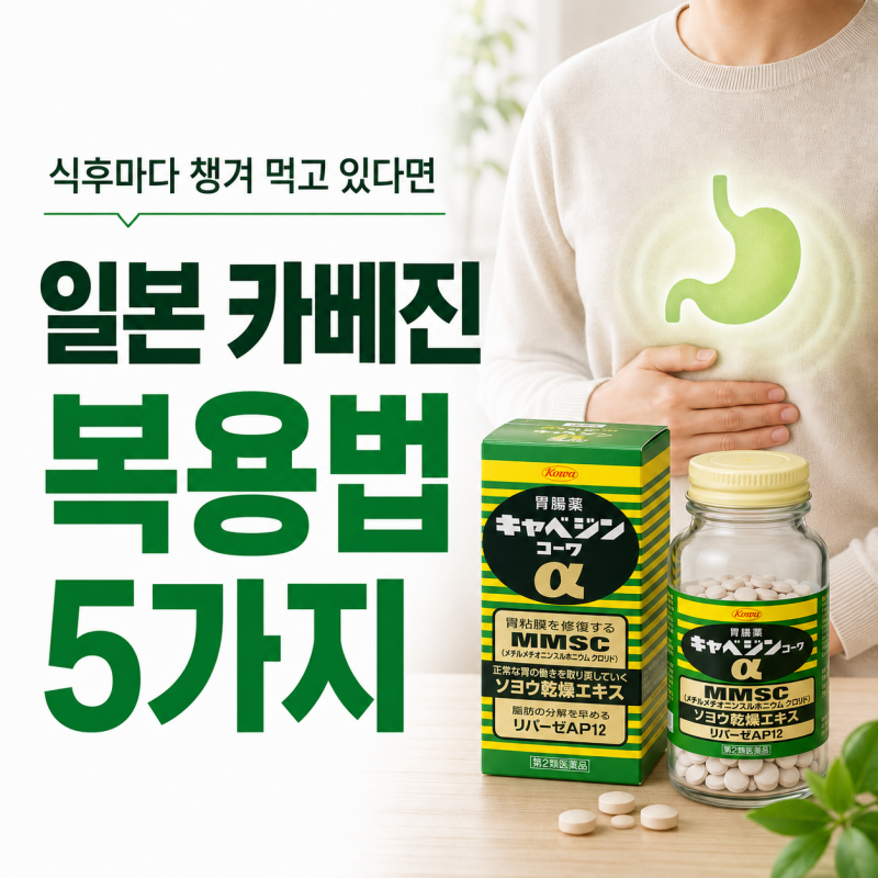 "식후마다 챙겨 먹고 있다면" 일본 카베진 복용법 5가지