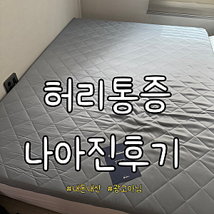 쿠팡 잘산템 하드 토퍼 매트리스허리통증 완화 후기