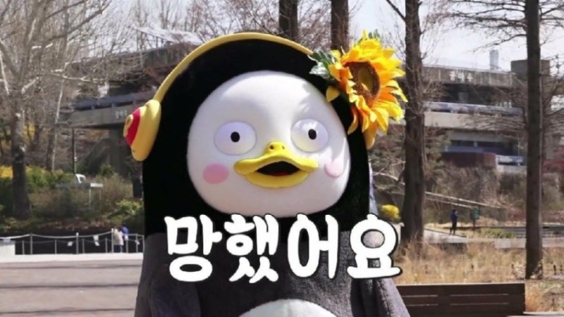 질초음파 실비 청구 될까? 산부인과 배란초음파, 난포초음파 실손보험 청구