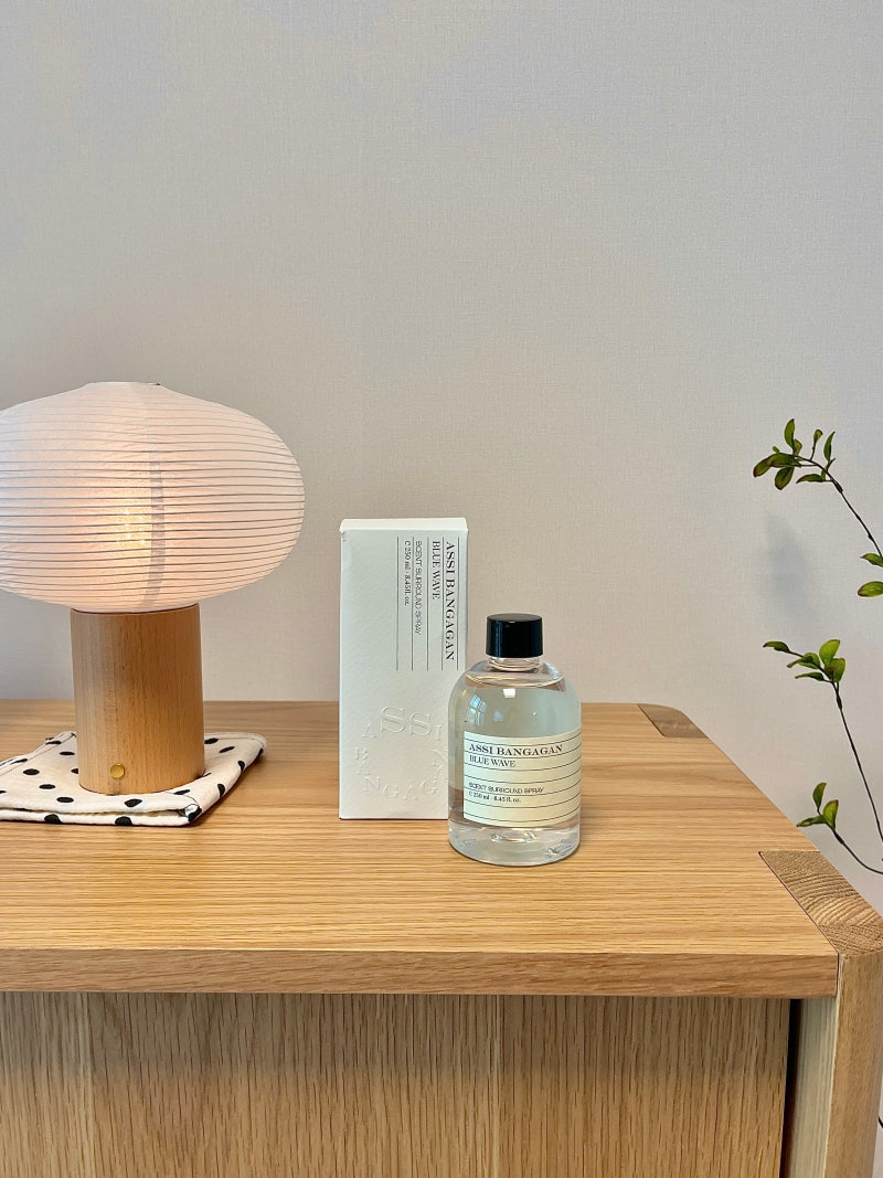 여름철 탈취제 사기 전 다이소,이케아로 완벽 집냄새제거 방법