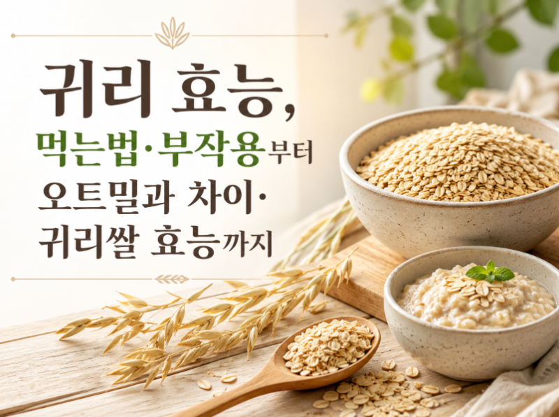 귀리 효능, 먹는법·부작용부터 오트밀과 차이·귀리쌀 효능까지