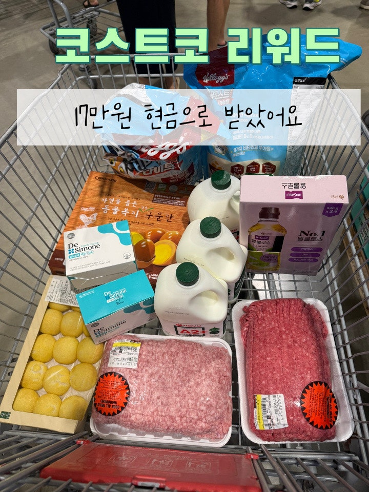 코스트코 리워드17만원 현금으로 받았어요｜사용방법 꿀팁