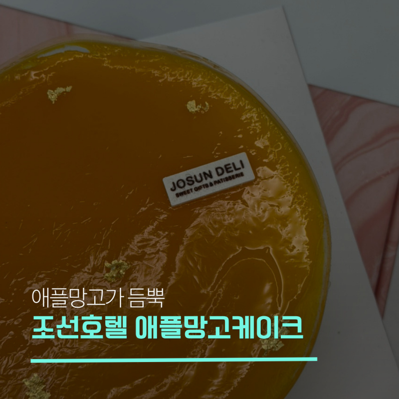 조선델리 조선호텔 애플망고 케이크 후기 카카오톡 선물하기