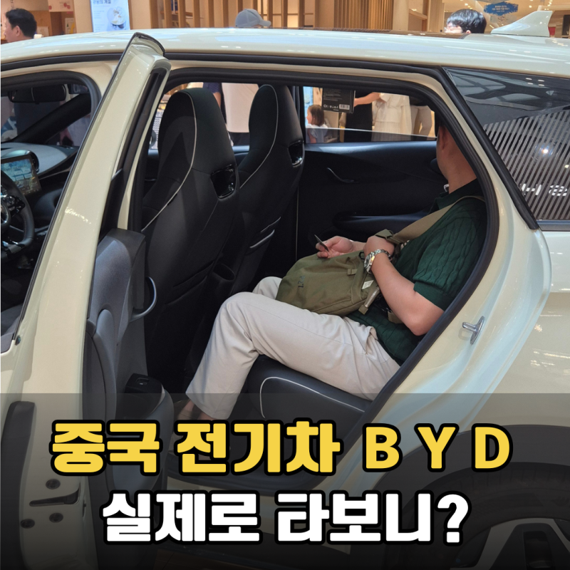 중국 전기차 BYD 돌핀 아토3 가격. 실물 시승 후기
