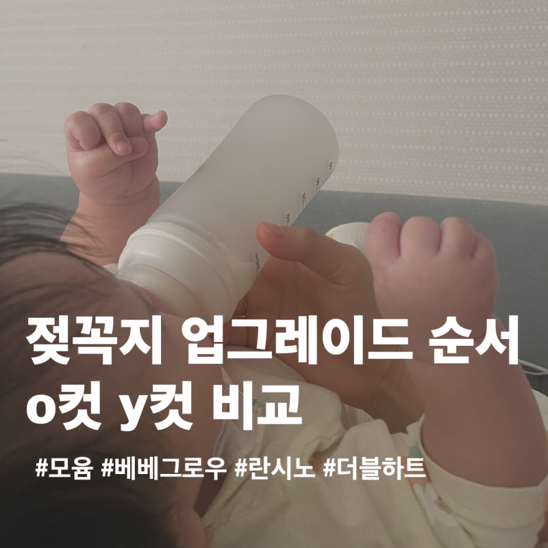 젖꼭지 단계 업그레이드 순서 총정리 (더블하트·란시노·모윰·베베그로우 호환 & O컷·Y컷 비....