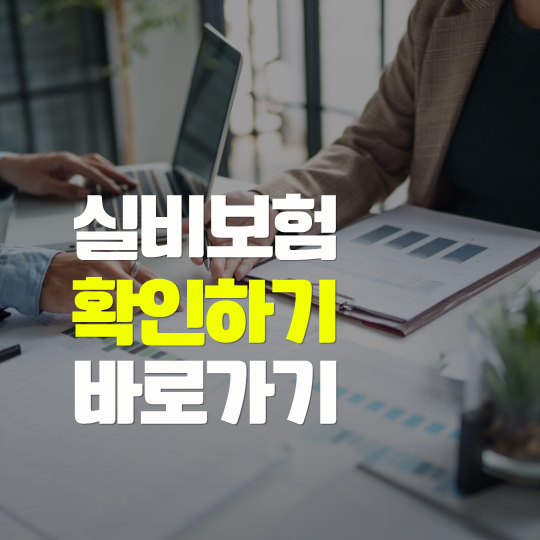 내 실비보험 확인하기｜가입 보험 조회부터 보장내용 확인까지 한 번에