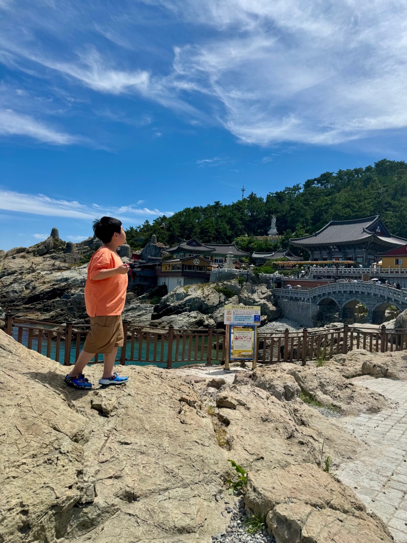 초등학생 부산여행추천 : 부산시티투어버스로 다녀온 해동용궁사, 국립수산과학원