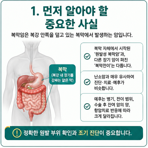 복막암 생존율은? 증상, 진단,치료, 1기·2기·3기·4기 분석 총정리