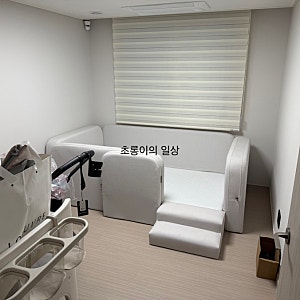 홈앤힐 휴고 플러스 데이베드 저상형 아기침대 내돈내산 솔직한 리뷰