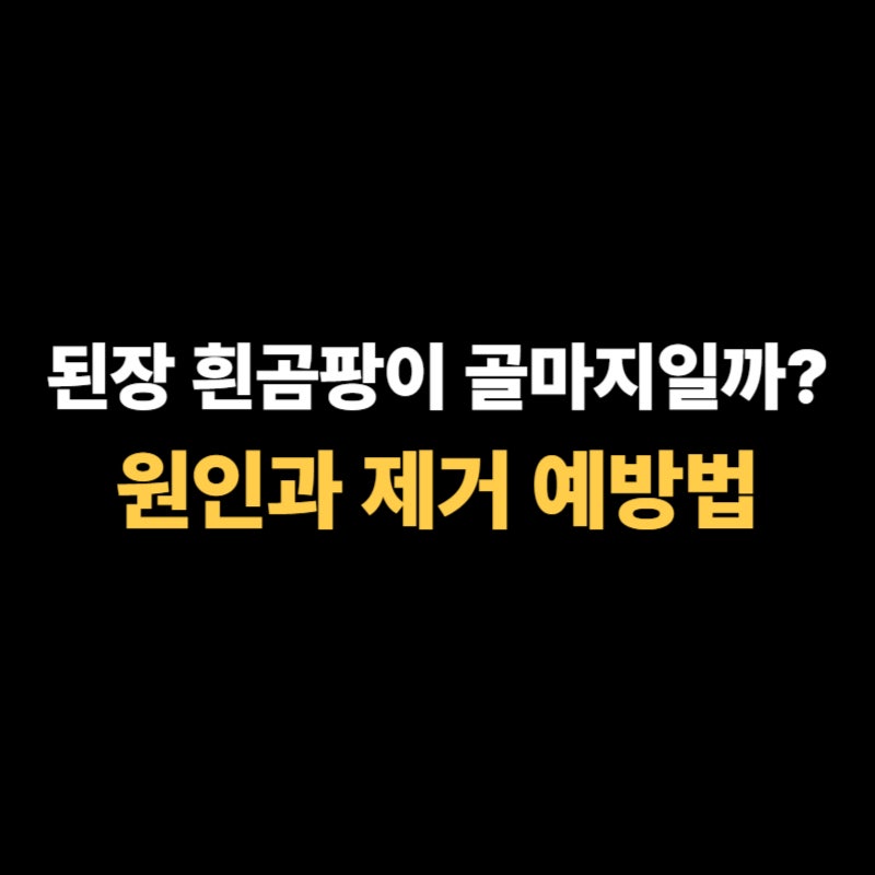 된장 흰곰팡이 원인과 제거 방법, 골마지일까?