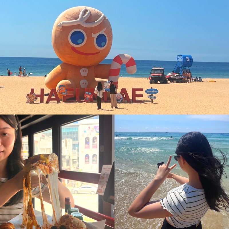 부산 해운대 주차장 요금 & 꿀팁 총정리! (해운대광장 공영주차장,해운대 즐기기)