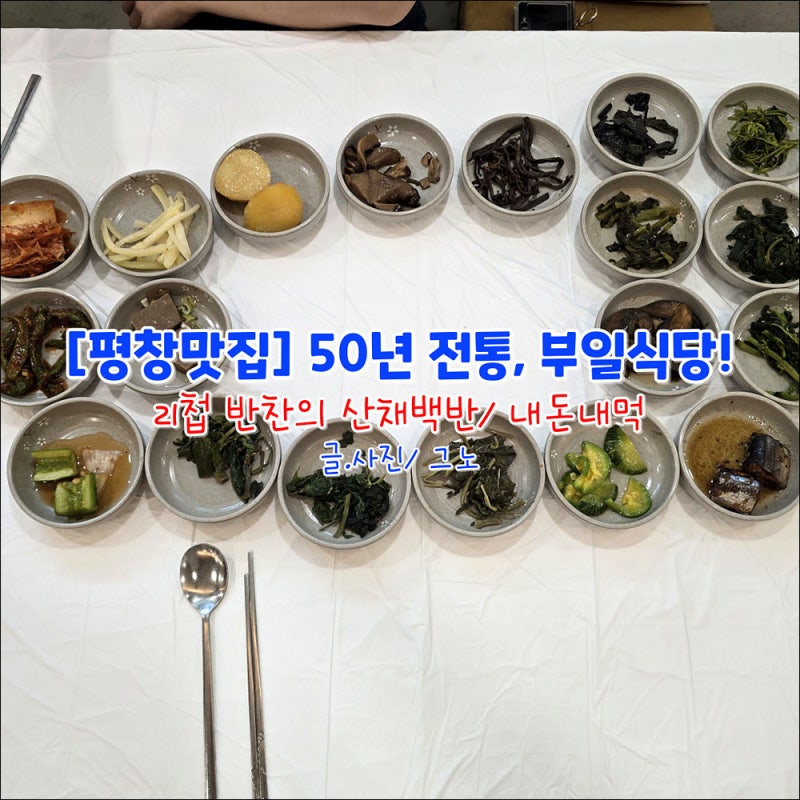 [평창맛집] 대관령 하늘목장 근처 50년 전통 산채백반 '부일식당' 내돈내먹 솔직후기! (21첩 반....