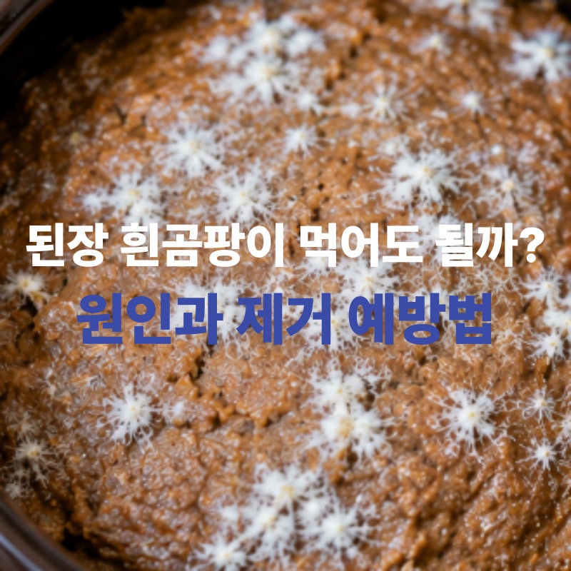 된장 흰곰팡이 골마지 원인과 제거 방법