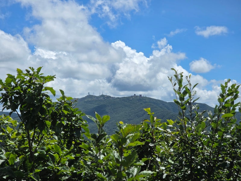 가평 유명산(862m) '휴양림-정상-입구지계곡' 산행(입수7차)