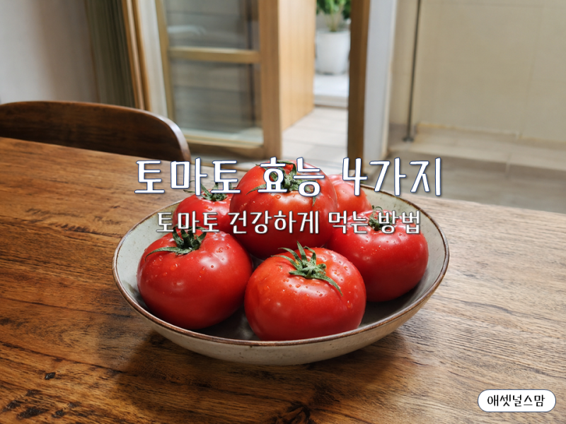 빨간색이 먼저 티 냅니다, 토마토 효능 4가지와 부작용