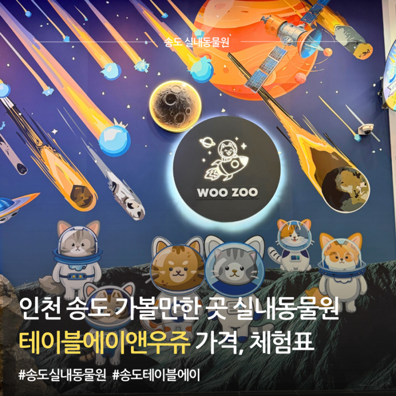인천송도가볼만한곳 실내동물원 테이블에이 가격 먹이체험 후기
