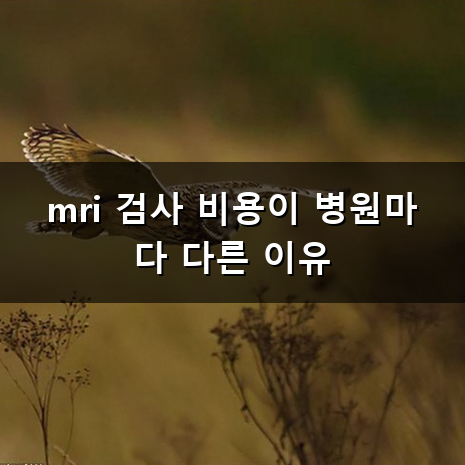 MRI 가격 병원마다 차이가 나는 이유와 비용 정리