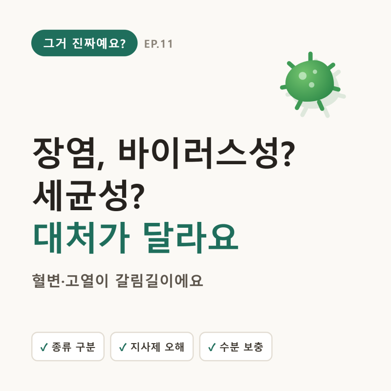 장염, 바이러스성? 세균성? 종류부터 알아야 대처가 달라져요 (혈변·고열이 갈림길)