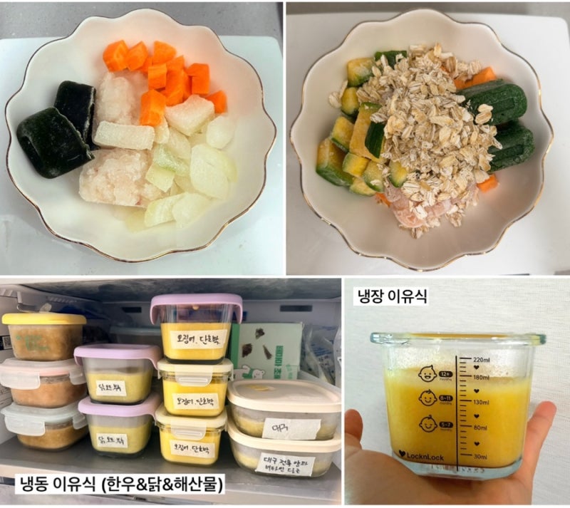 9개월 후기이유식 두유제조기 레시피 모음(냉장+냉동)