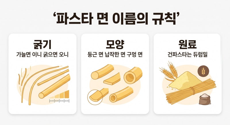 파스타 면 종류 총정리 (링귀니 스파게티니 차이 | 듀럼밀 | 브론즈)
