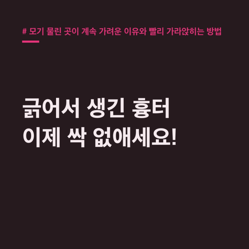 모기 물린 곳이 계속 가려운 이유, 2년 흉터까지 싹 지우는 법