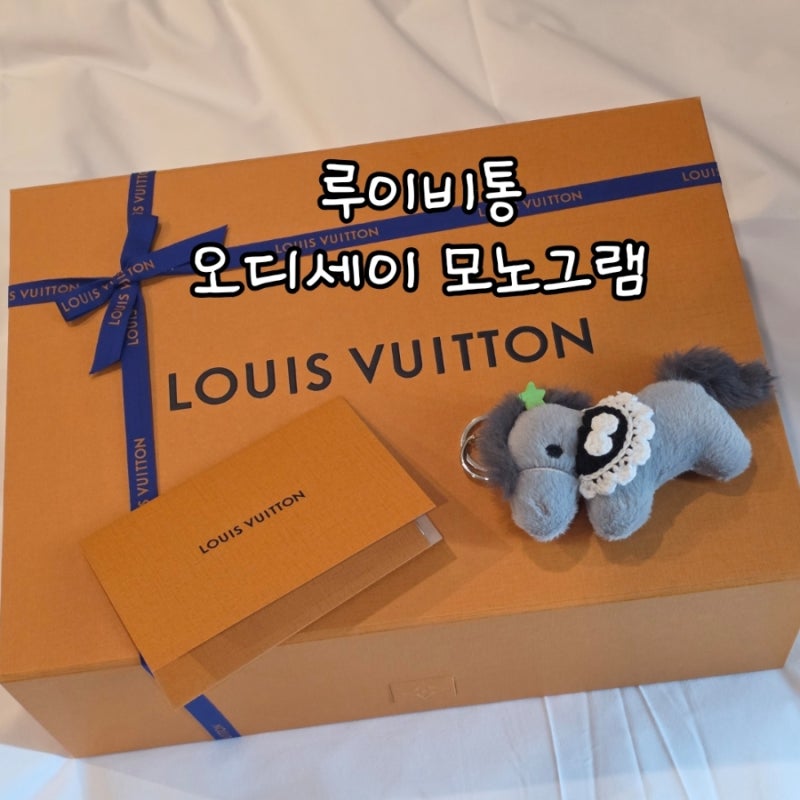 루이비통 오디세이(구매후기,착샷)