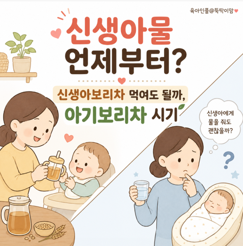 신생아물 언제부터? 신생아보리차 먹여도 될까, 아기보리차 시기