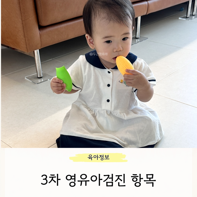 3차 영유아검진 문진표 작성 항목 시기 돌아기 영유아건강검진 언제?