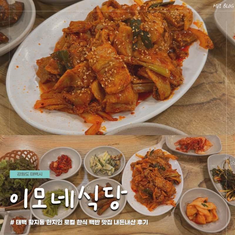 태백 황지동 현지인 로컬 한식 맛집 이모네식당 내돈내산 후기 제육볶음 오징어볶음 김치찌....
