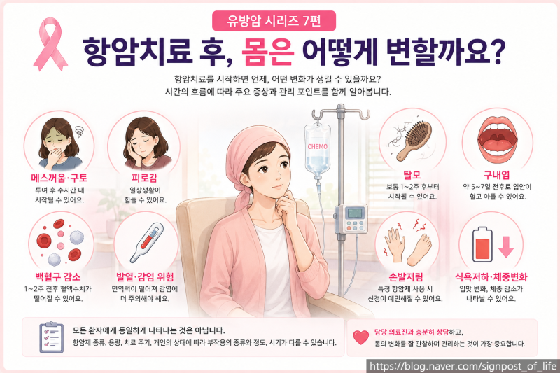 유방암 시리즈 7편 유방암 항암치료 후 언제 가장 힘들까? 탈모·구토·백혈구 감소·손발저림....