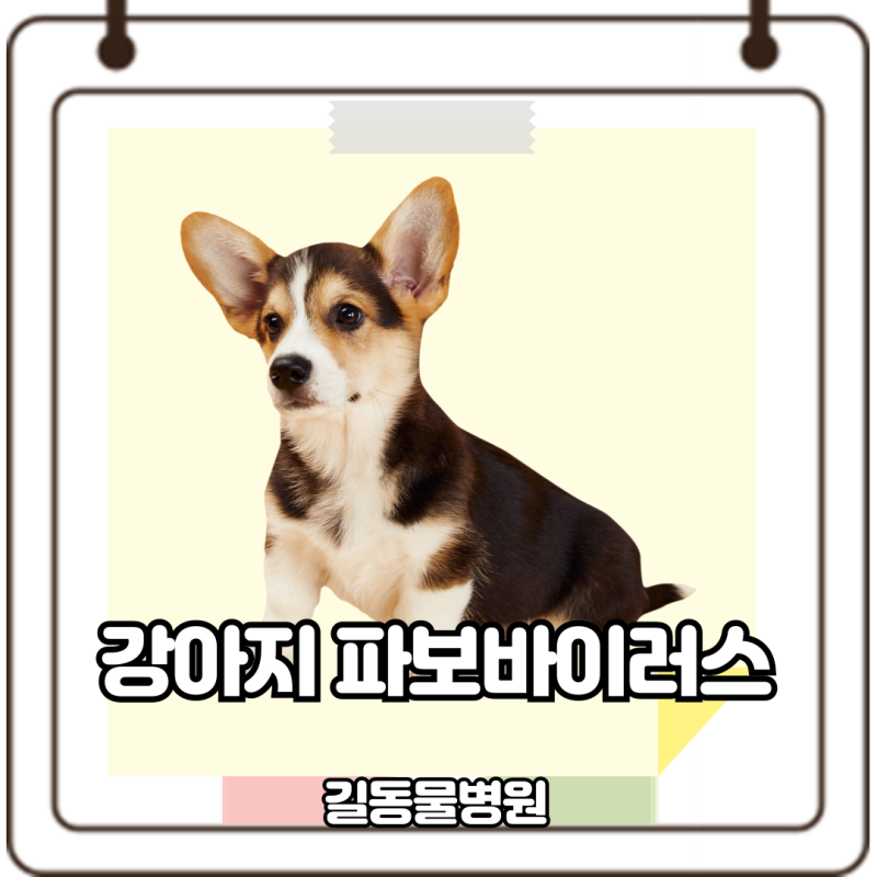 강아지 파보바이러스 원인과 증상, 예방접종까지 구토와 설사를 한다면 필독
