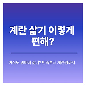 필립스 달걀 계란찜기 추천 반숙 계란삶는기계 사용법 시간까지 간편하게