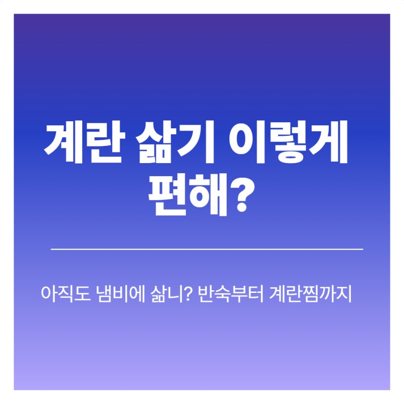 필립스 달걀 계란찜기 추천 반숙 계란삶는기계 사용법 시간까지 간편하게