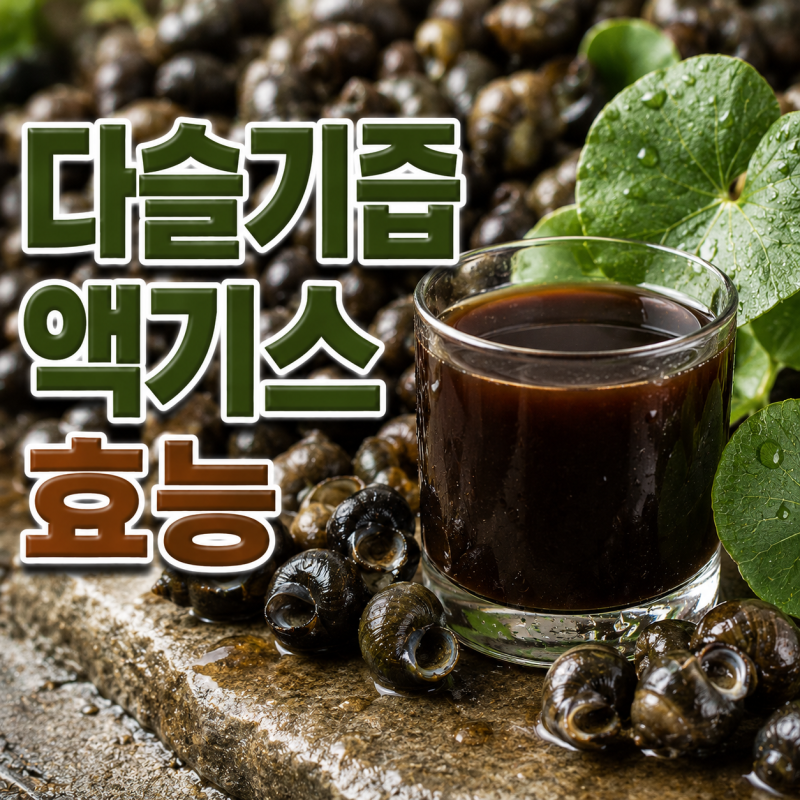 다슬기효능 즙 액기스 부작용, 보관법 먹는 간해독까지 정리