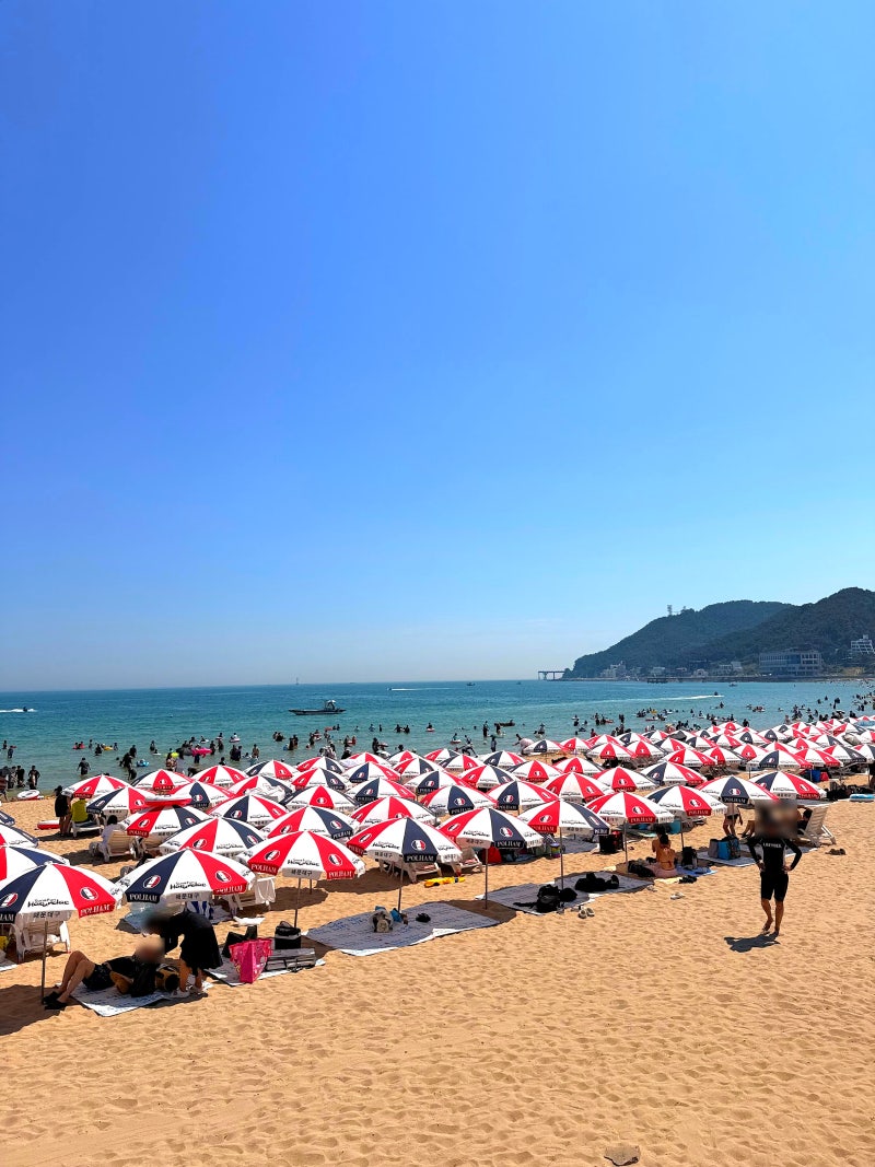부산 송정해수욕장 꼭 알아야 할 주차장 서핑 파라솔 샤워장