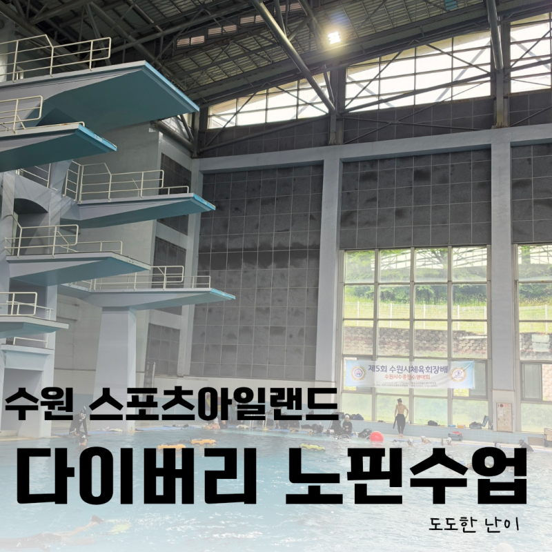 노핀수업 다이버리 블루페블 프리다이빙 스토어 수원 월드컵경기장 다이빙풀