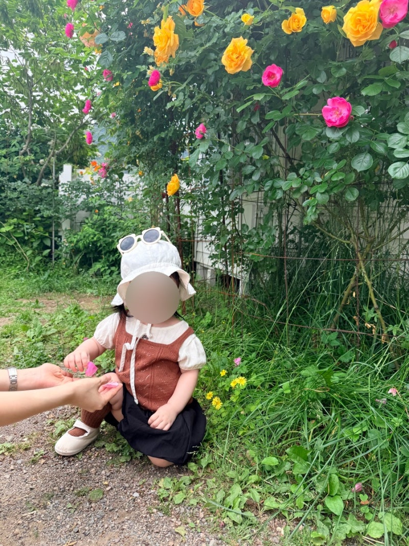 12-14개월 아기 옷 쇼핑 구매 추천 후기 (내돈내산)