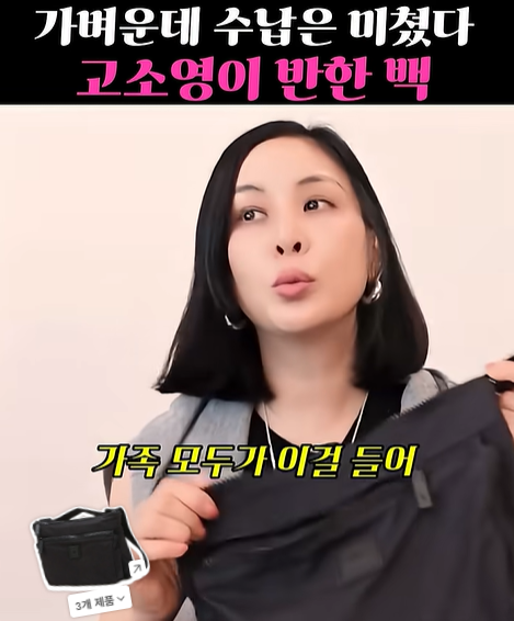 고소영이 인스타에 올려서 화제가 된 데일리백