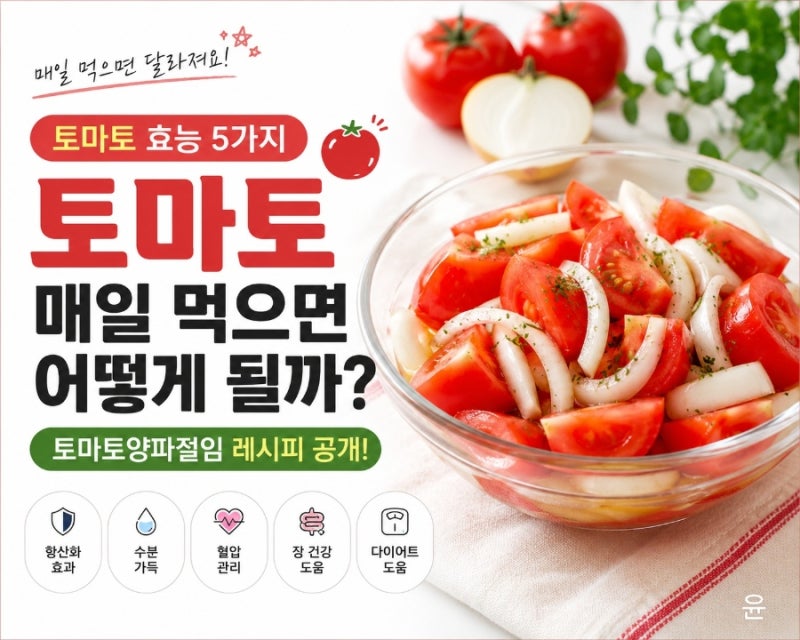 토마토 효능 5가지 매일 먹는다면 이렇게! 토마토양파절임 레시피