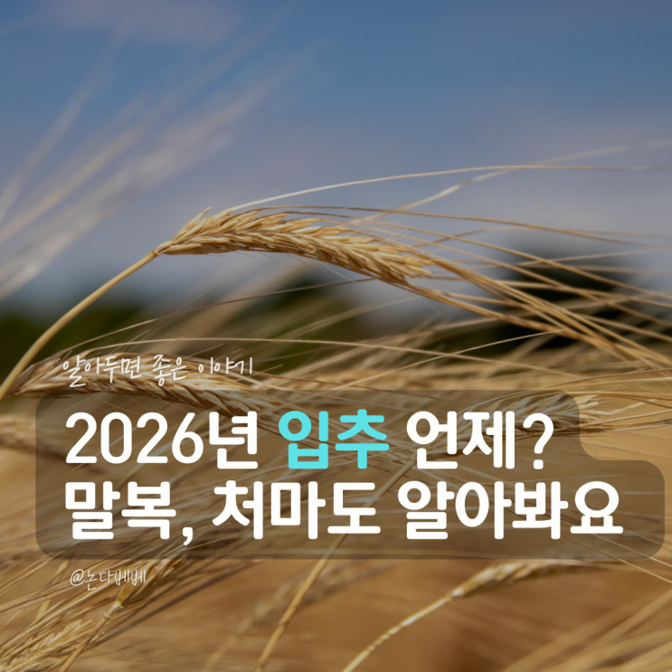 2026 입추 날짜 언제? 뜻과 <b>처서</b> 말복까지 알아보기
