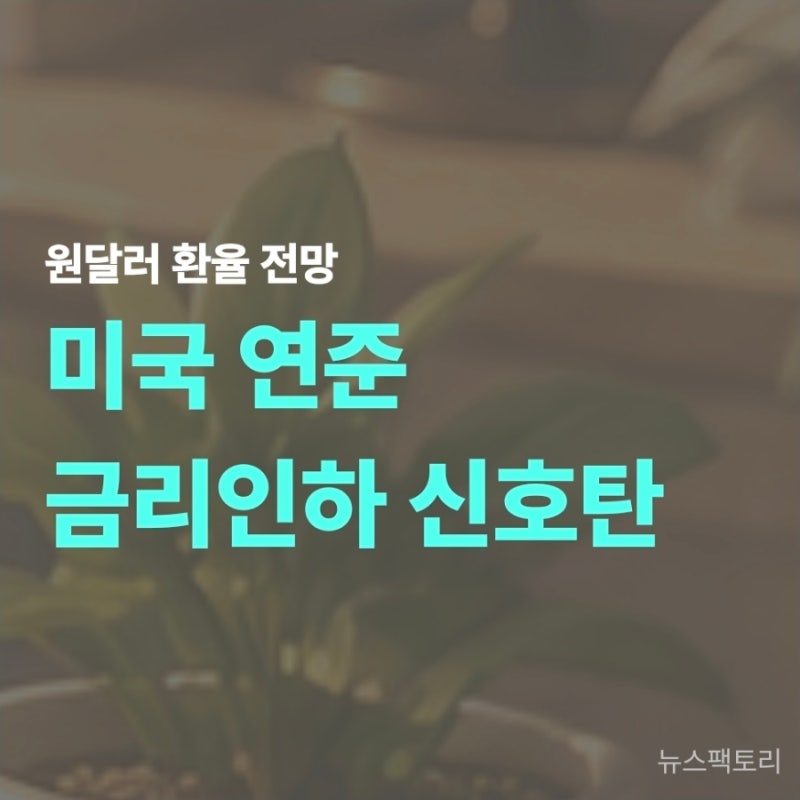 "지금 달러 사야 할까?" 원달러 환율 하락 이유 3가지와 통계로 본 최적의 환전 타이밍