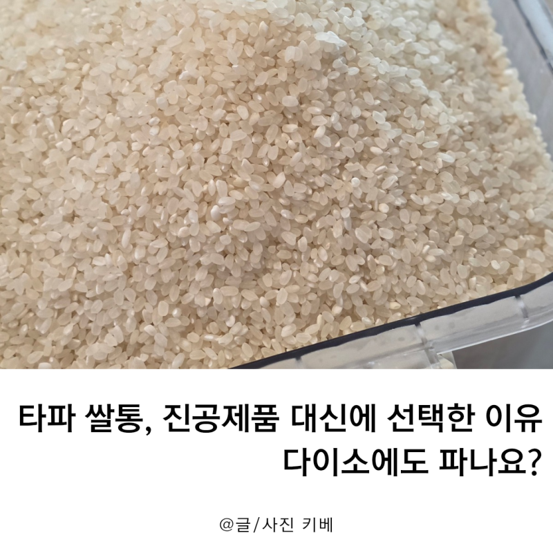 타파 쌀통, 진공제품 대신에 선택한 이유 다이소에도 파나요?